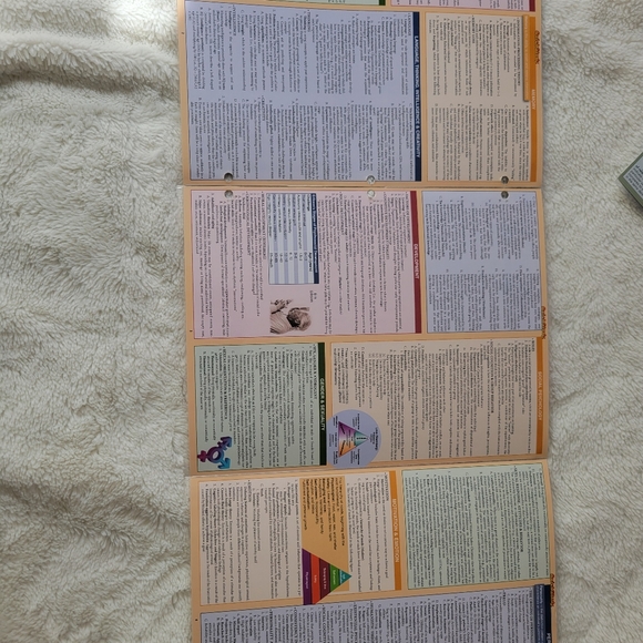 Quick Study Subject Outlines - Picture 2 of 3